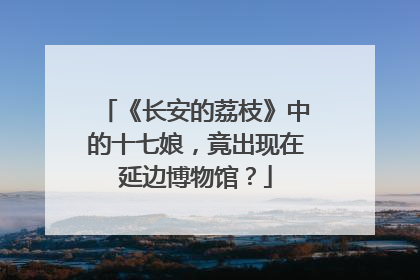 《长安的荔枝》中的十七娘，竟出现在延边博物馆？