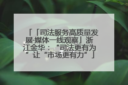 「司法服务高质量发展·媒体一线观察」浙江金华：“司法更有为”让“市场更有力”