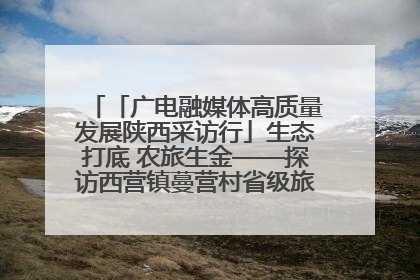 「广电融媒体高质量发展陕西采访行」生态打底 农旅生金——探访西营镇蔓营村省级旅游示范村的振兴密码