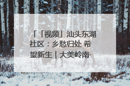 「视频」汕头东湖社区：乡愁归处 希望新生｜大美岭南·百村焕新记