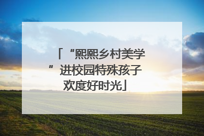 “熙熙乡村美学”进校园特殊孩子欢度好时光