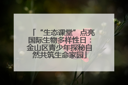 “生态课堂”点亮国际生物多样性日：金山区青少年探秘自然共筑生命家园