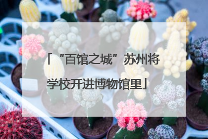 “百馆之城”苏州将学校开进博物馆里