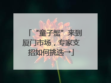 “童子蟹”来到厦门市场，专家支招如何挑选→