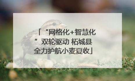 “网格化+智慧化”双轮驱动 柘城县全力护航小麦夏收