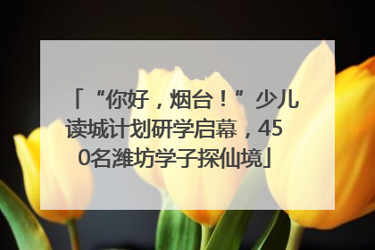 “你好，烟台！”少儿读城计划研学启幕，450名潍坊学子探仙境