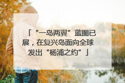 “一岛两翼”蓝图已展，在复兴岛面向全球发出“杨浦之约”