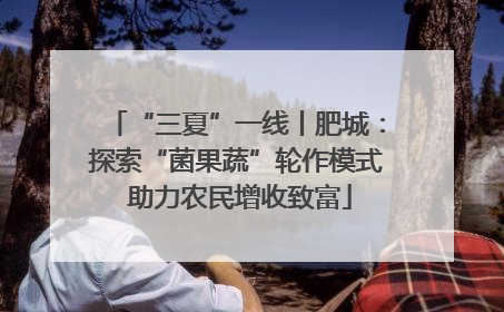 “三夏”一线丨肥城：探索“菌果蔬”轮作模式 助力农民增收致富