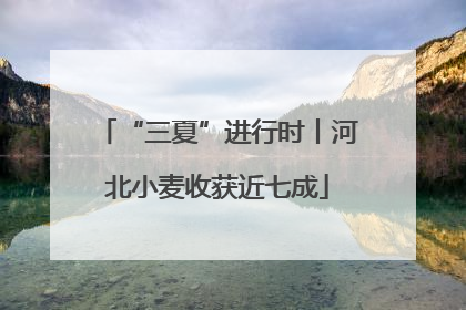 “三夏”进行时丨河北小麦收获近七成