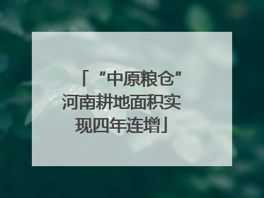 “中原粮仓”河南耕地面积实现四年连增