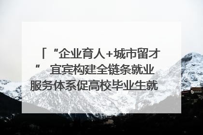 “企业育人+城市留才” 宜宾构建全链条就业服务体系促高校毕业生就业｜您牵挂的四川