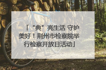“典”亮生活 守护美好！荆州市检察院举行检察开放日活动