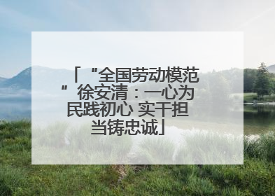 “全国劳动模范”徐安清：一心为民践初心 实干担当铸忠诚