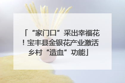 “家门口”采出幸福花！宝丰县金银花产业激活乡村“造血”功能