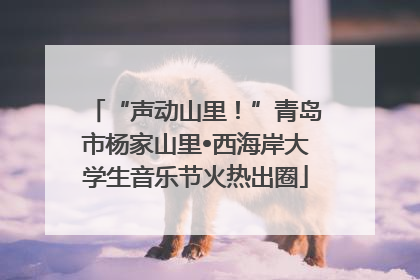 “声动山里！”青岛市杨家山里•西海岸大学生音乐节火热出圈