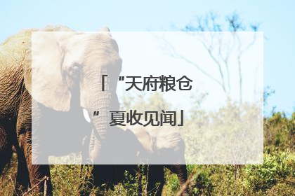 “天府粮仓”夏收见闻