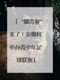 “徽青赛”来了！安徽将举办青少年足球联赛