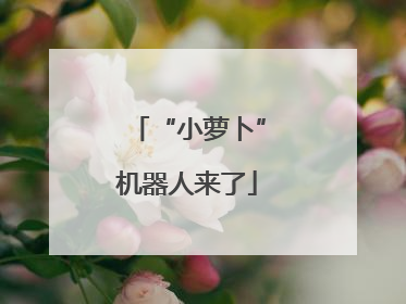 “小萝卜”机器人来了