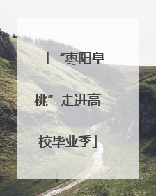 “枣阳皇桃”走进高校毕业季