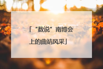 “数说”南博会上的曲靖风采