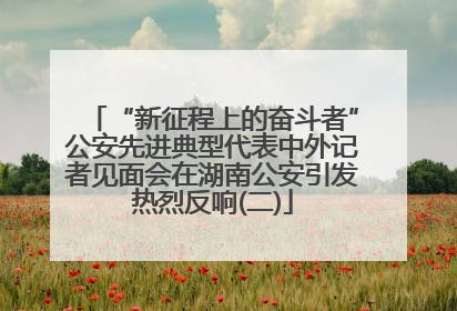 “新征程上的奋斗者”公安先进典型代表中外记者见面会在湖南公安引发热烈反响(二)