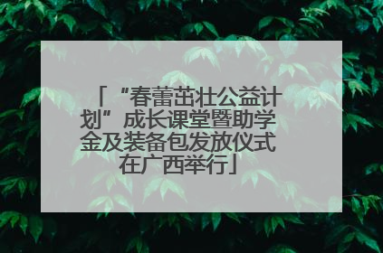 “春蕾茁壮公益计划”成长课堂暨助学金及装备包发放仪式在广西举行