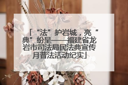 “法”护岩城，亮“典”纷呈——福建省龙岩市司法局民法典宣传月普法活动纪实