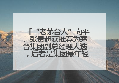 “老茅台人”向平、张贵超获推荐为茅台集团副总经理人选，后者是集团最年轻党委委员