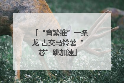 “育繁推”一条龙 古交马铃薯“芯”跳加速