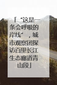 “这是一条会呼吸的岸线”，城市观察团探访百里长江生态廊道青山段