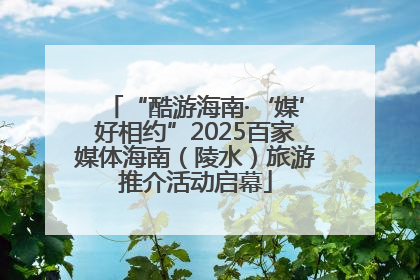 “酷游海南·‘媒’好相约”2025百家媒体海南（陵水）旅游推介活动启幕