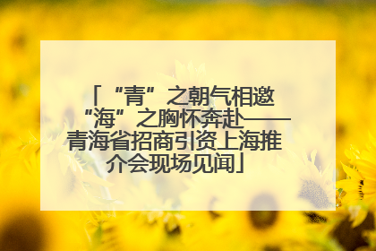“青”之朝气相邀 “海”之胸怀奔赴——青海省招商引资上海推介会现场见闻