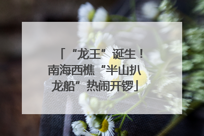 “龙王”诞生！南海西樵“半山扒龙船”热闹开锣