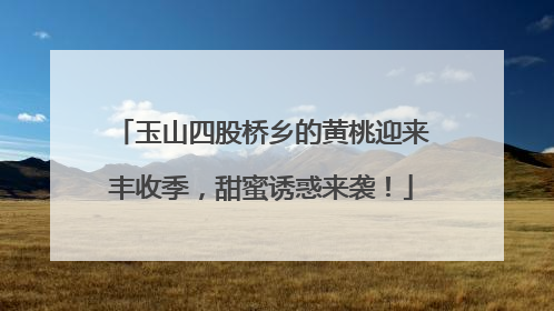 玉山四股桥乡的黄桃迎来丰收季，甜蜜诱惑来袭！