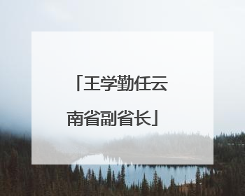 王学勤任云南省副省长