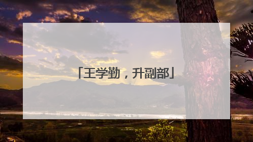 王学勤，升副部