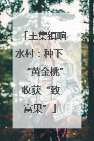 王集镇响水村：种下“黄金桃” 收获“致富果”