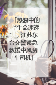 热浪中的“生命速递”，江苏东台交警紧急救援中风货车司机