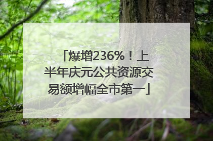 爆增236%！上半年庆元公共资源交易额增幅全市第一