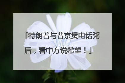 特朗普与普京煲电话粥后，看中方说希望！