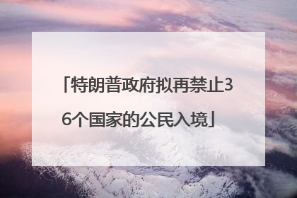 特朗普政府拟再禁止36个国家的公民入境