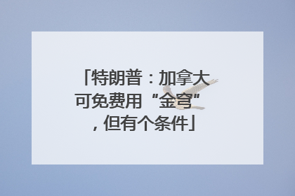 特朗普：加拿大可免费用“金穹”，但有个条件