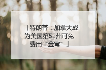 特朗普：加拿大成为美国第51州可免费用“金穹”