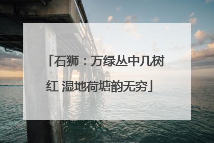 石狮：万绿丛中几树红 湿地荷塘韵无穷