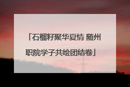 石榴籽聚华夏情 随州职院学子共绘团结卷