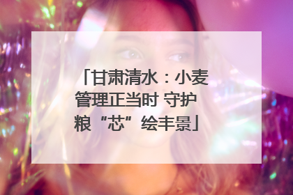 甘肃清水：小麦管理正当时 守护粮“芯”绘丰景