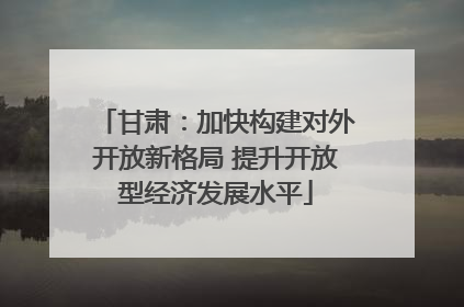 甘肃：加快构建对外开放新格局 提升开放型经济发展水平