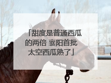 甜度是普通西瓜的两倍 襄阳首批太空西瓜熟了