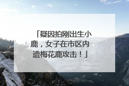 疑因拍刚出生小鹿，女子在市区内遭梅花鹿攻击！