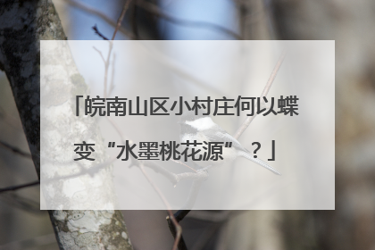 皖南山区小村庄何以蝶变“水墨桃花源”？